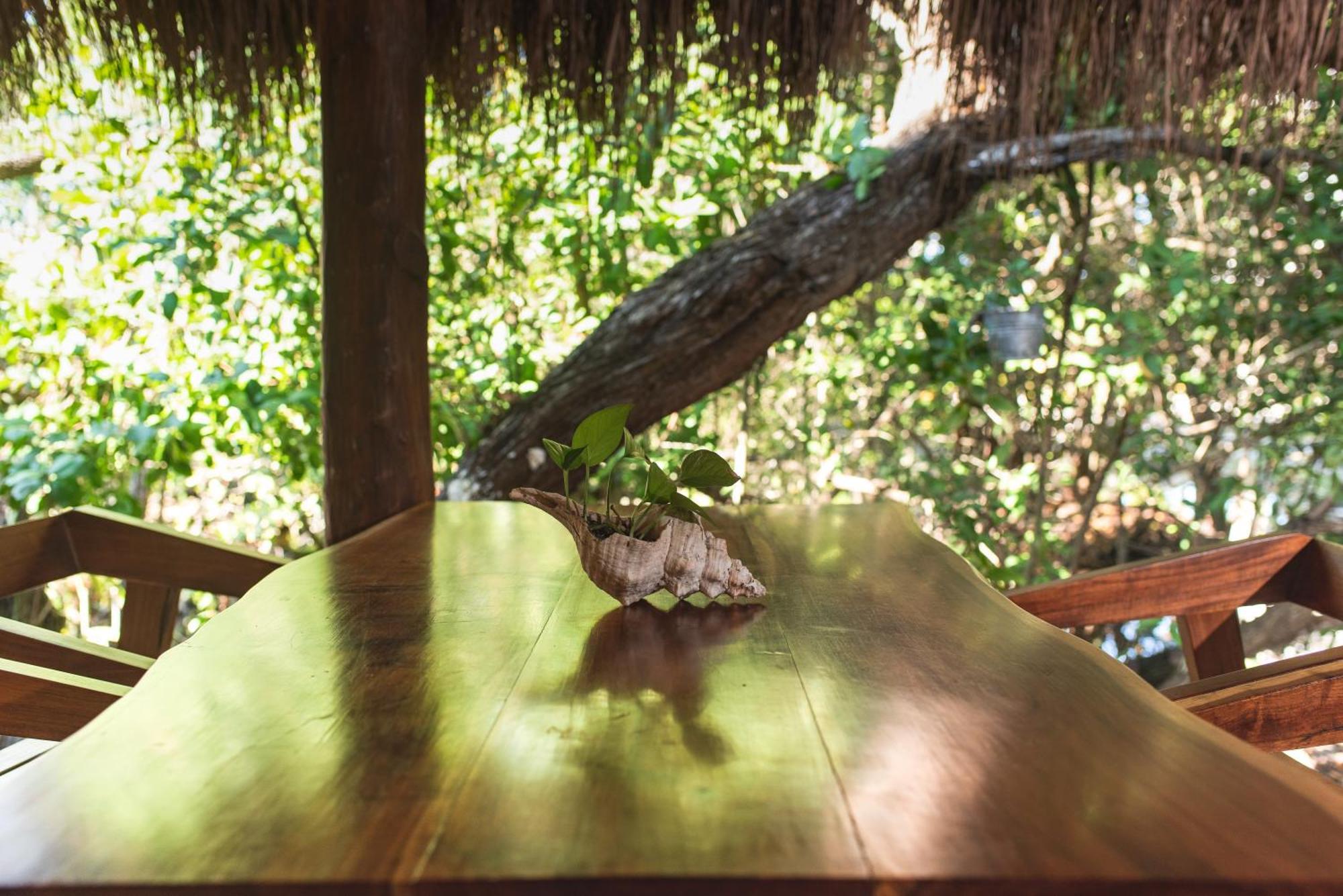 Casa Takywara Hotel Isla Holbox Buitenkant foto